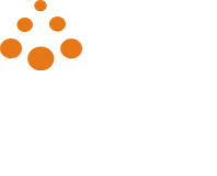 SJMSOM