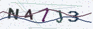 Security code image