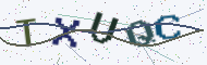 Security code image